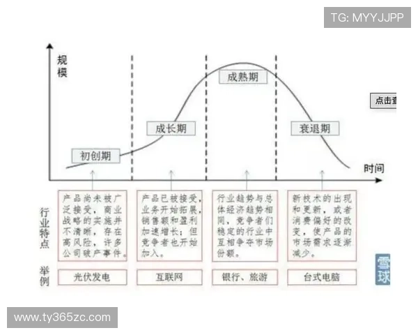 Yinbet的发展历史、企业文化及其在行业中的核心价值